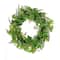 24" Ivy & Fern Spring Wreath